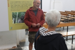 Expo_Loup_01