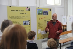 Expo_Loup_05