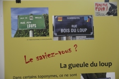 Expo_Loup_06