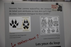 Expo_Loup_10