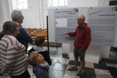 Expo_Loup_12