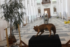 Expo_Loup_16