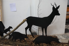 Expo_Loup_19