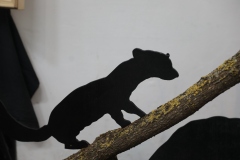 Expo_Loup_20