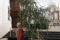Expo_Loup_28