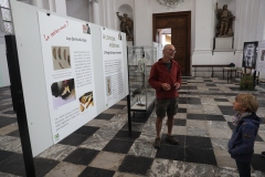 Expo_Loup_33