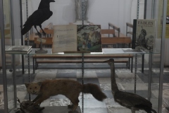Expo_Loup_37