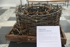 Expo_Loup_43