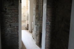 Expo_Loup_78