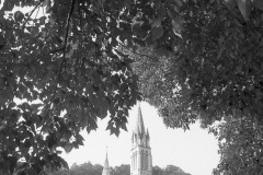 Lourdes93_100